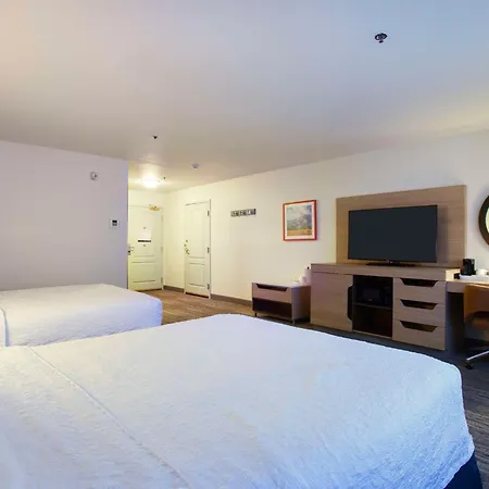 Hampton Inn & Suites Mountain Home-3