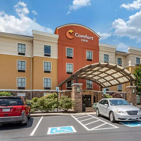 Comfort Inn Athens I - 75-3