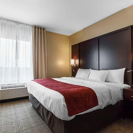 Comfort Suites-Youngstown North-3