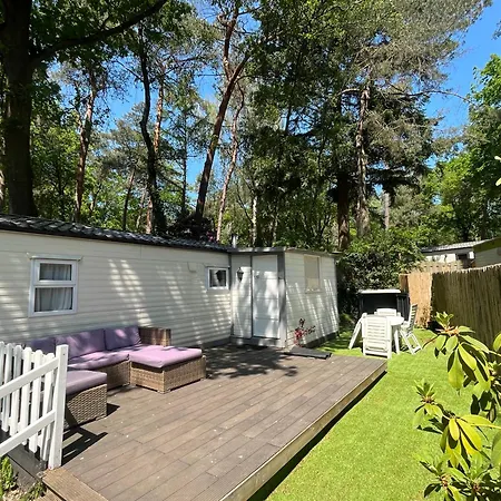 Boshuisje met sauna in Hoenderloo-2