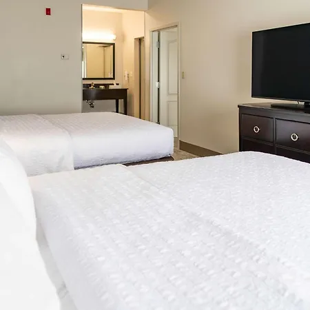 Hampton Inn & Suites Effingham-3