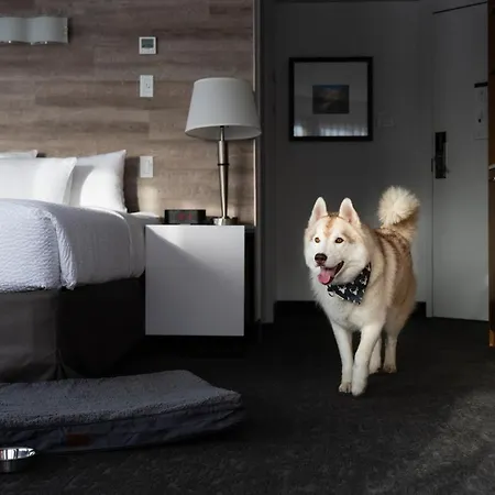 Elk + Avenue Hotel-3