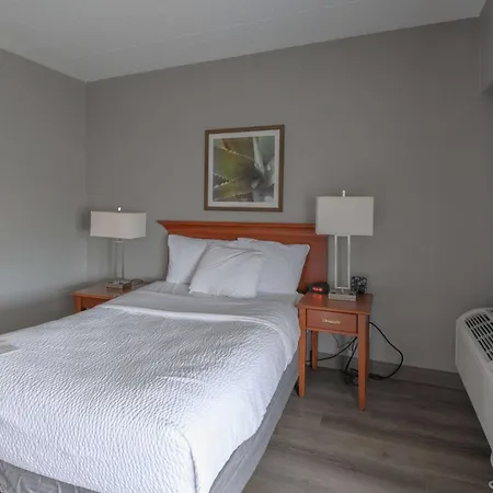 La Quinta By Wyndham New Haven-3