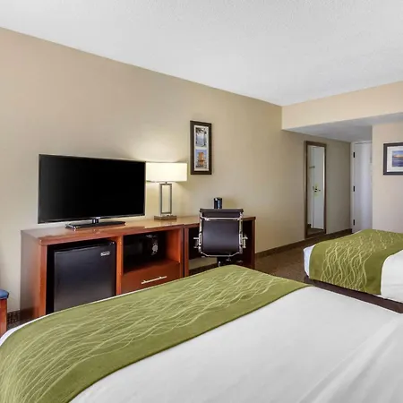 Comfort Inn St Petersburg North-2