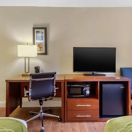 Comfort Inn St Petersburg North-3