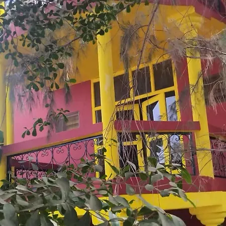 Auberge Africa Thiossane-2