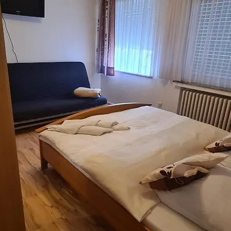 Hotel Zur Aue-3