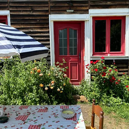 Le serpolet-2