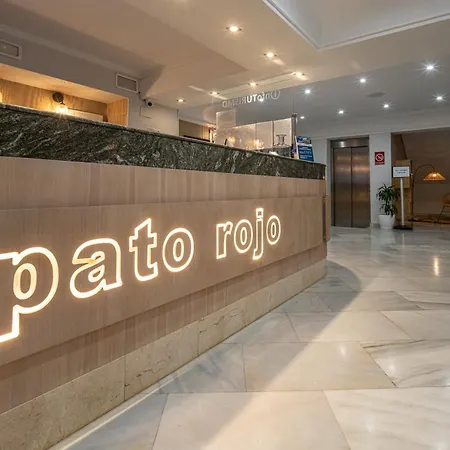 Pato Rojo-2