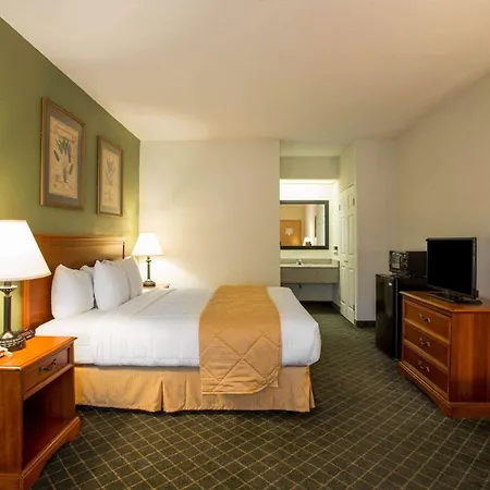Clarion Inn & Suites Aiken South-3