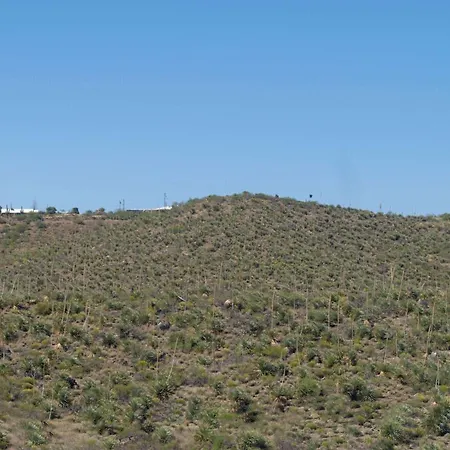 Travelodge By Wyndham Globe Az-2