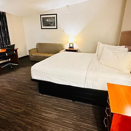 Quality Inn St Paul-Minneapolis-Midway-3
