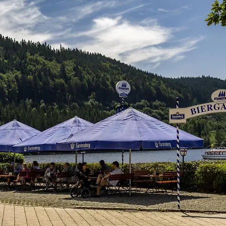 Maritim Titisee Hotel-3