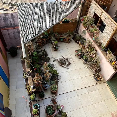 B&B Sol Poente-2