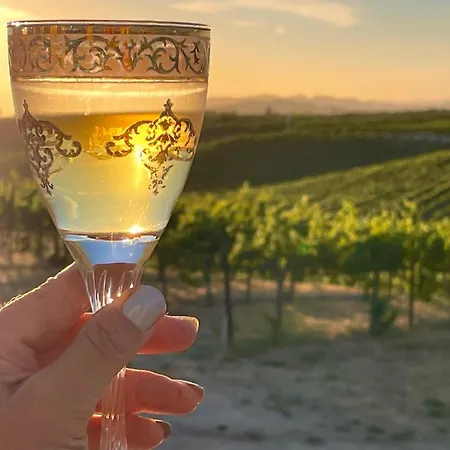 Domaine Chardonnay-2