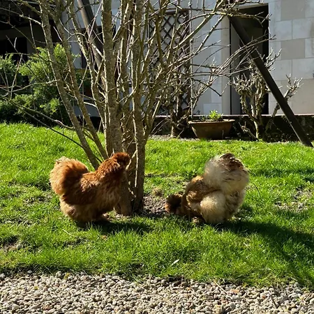Le Petit Hureau-3