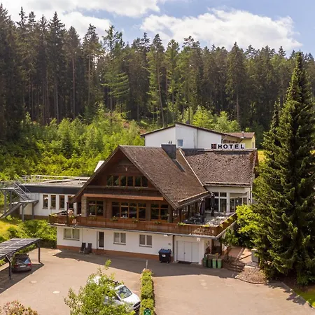 Waldhotel Ehrental-3