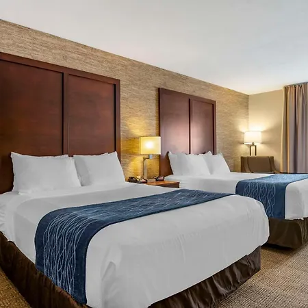 Comfort Inn & Suites Ludington Near Us-10-3