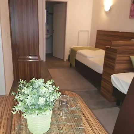Hotel Garni Goldene Traube-2
