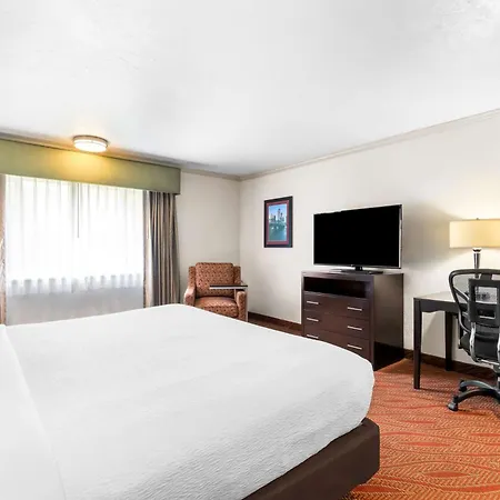Best Western Plus Parkway Inn-3