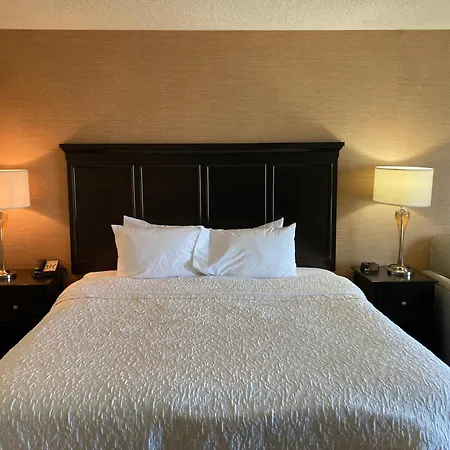 Hampton Inn & Suites Carlsbad-3