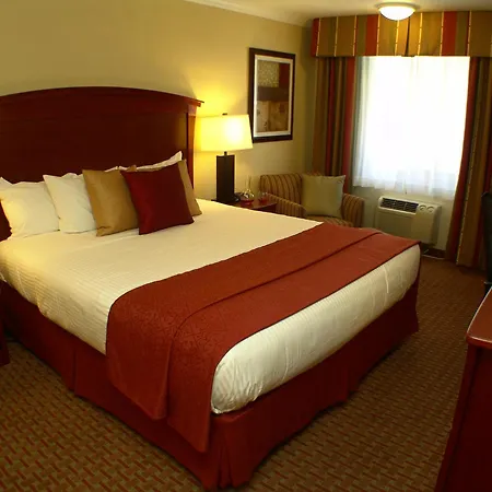 Quality Inn & Suites Santa Cruz Mountains-3