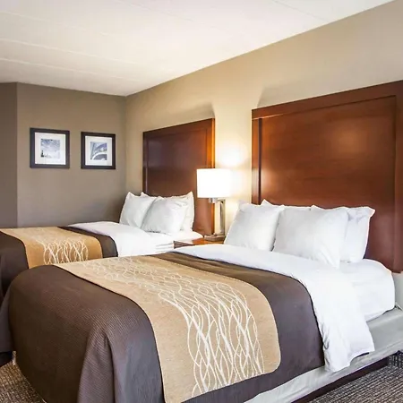 Quality Inn & Suites Orland Park - Chicago-3