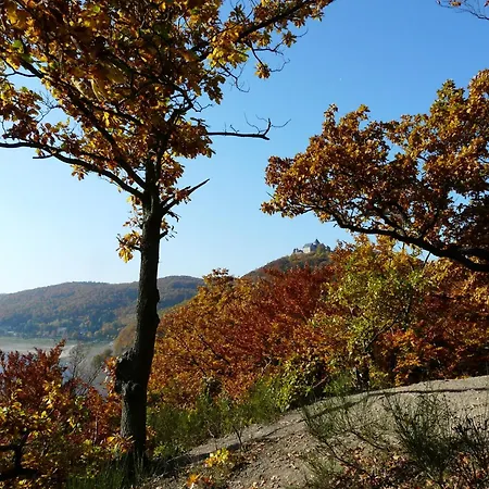 BELVEDERE - das BIO HOTEL Garni&SuiteHotel am Edersee-2