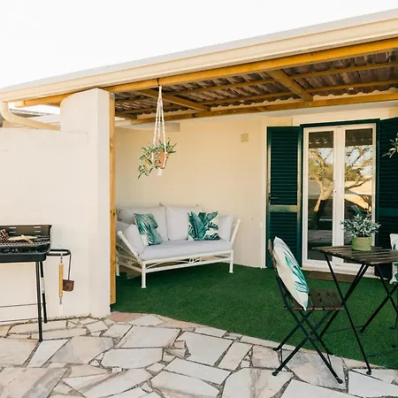 Tree House - Casa Figueira-2