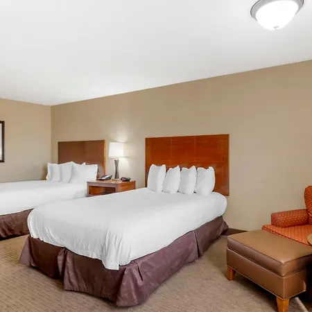 Best Western Cotton Tree Inn-2