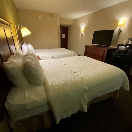 The Addison Hotel Surestay Collection By Best Western-3