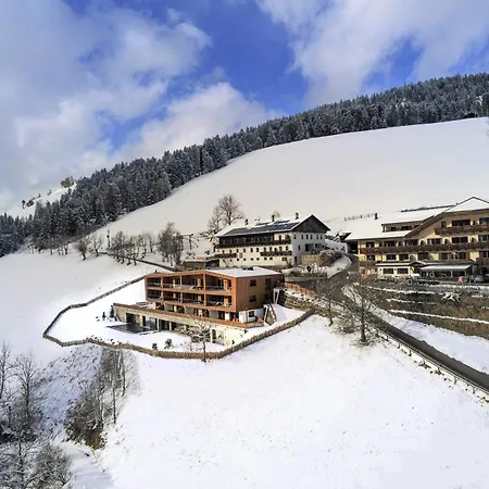 Hotel Schopfenhof-3