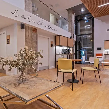 Colectia Hotel Ondarreta-2