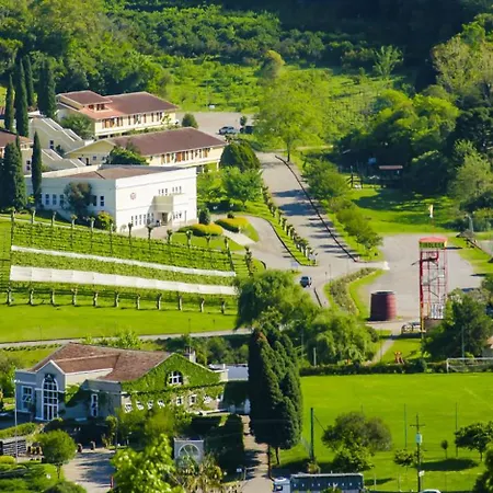 Hotel Villa Michelon-2