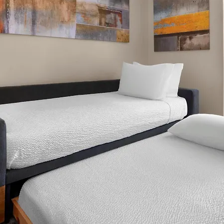 Springhill Suites Austin Round Rock-2