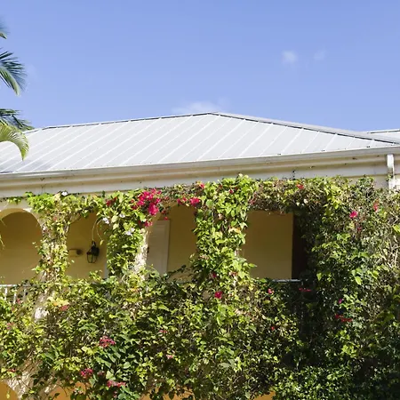 The Caribbean Court Boutique Hotel-2