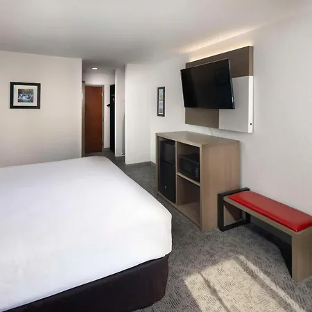 Comfort Inn & Suites Dahlonega University Area-3