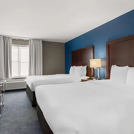 Comfort Inn & Suites Near Tinley Park Amphitheater-2