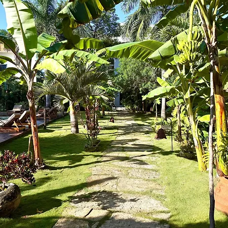 Xscapetulum-3