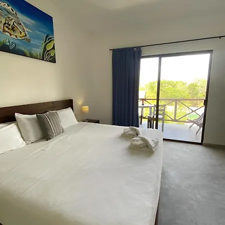 Basic Tulum-3