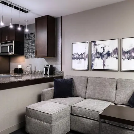 Residence Inn By Marriott Boston Logan Airport/Chelsea-3