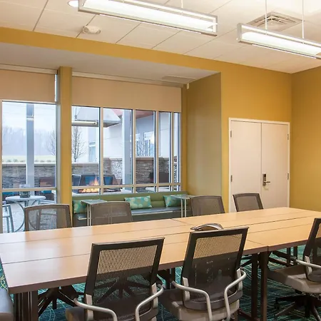 Springhill Suites By Marriott Canton-3