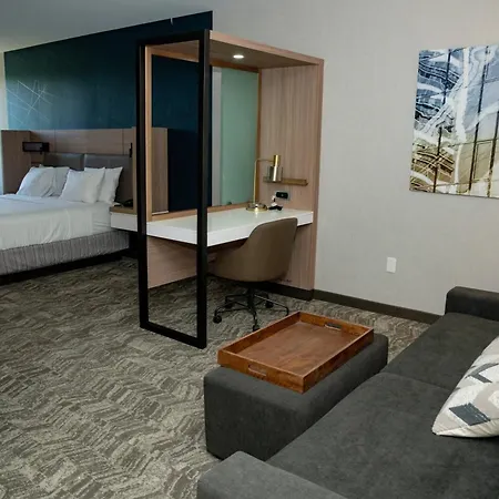 Springhill Suites By Marriott Woodbridge-3