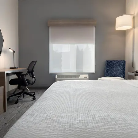 Holiday Inn Express Hotel & Suites Saginaw By Ihg-3