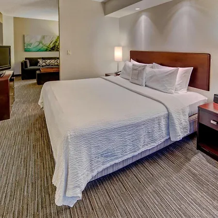 Springhill Suites By Marriott Naples-2