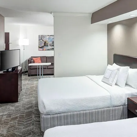 Springhill Suites Columbus-2
