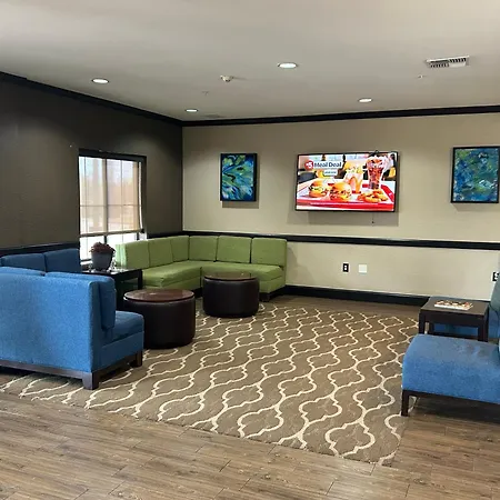 Comfort Suites Lawton Near Fort Sill-2