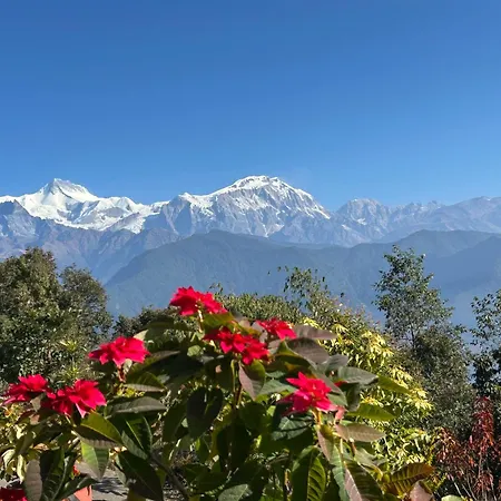 Hotel Pristine Himalaya-2