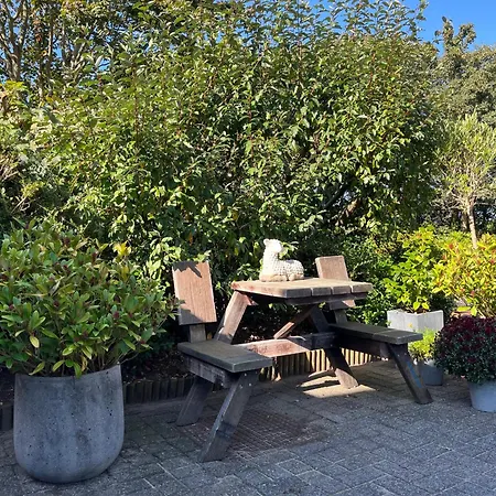 B&B Vloedlijn Texel-3