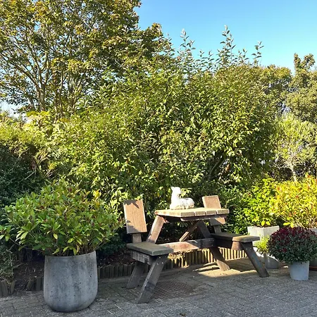 B&B Vloedlijn Texel-2